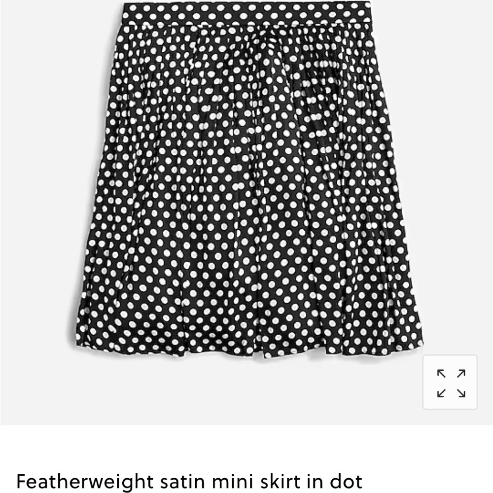 J Crew Skirt NWT Size 8
